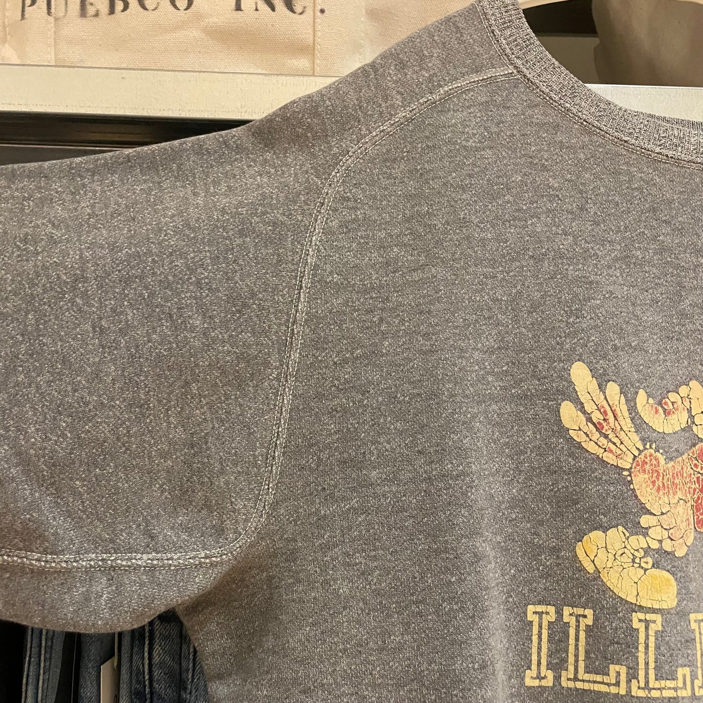 ILLINOIS STATE Loopwheel Sweatshirt Gray