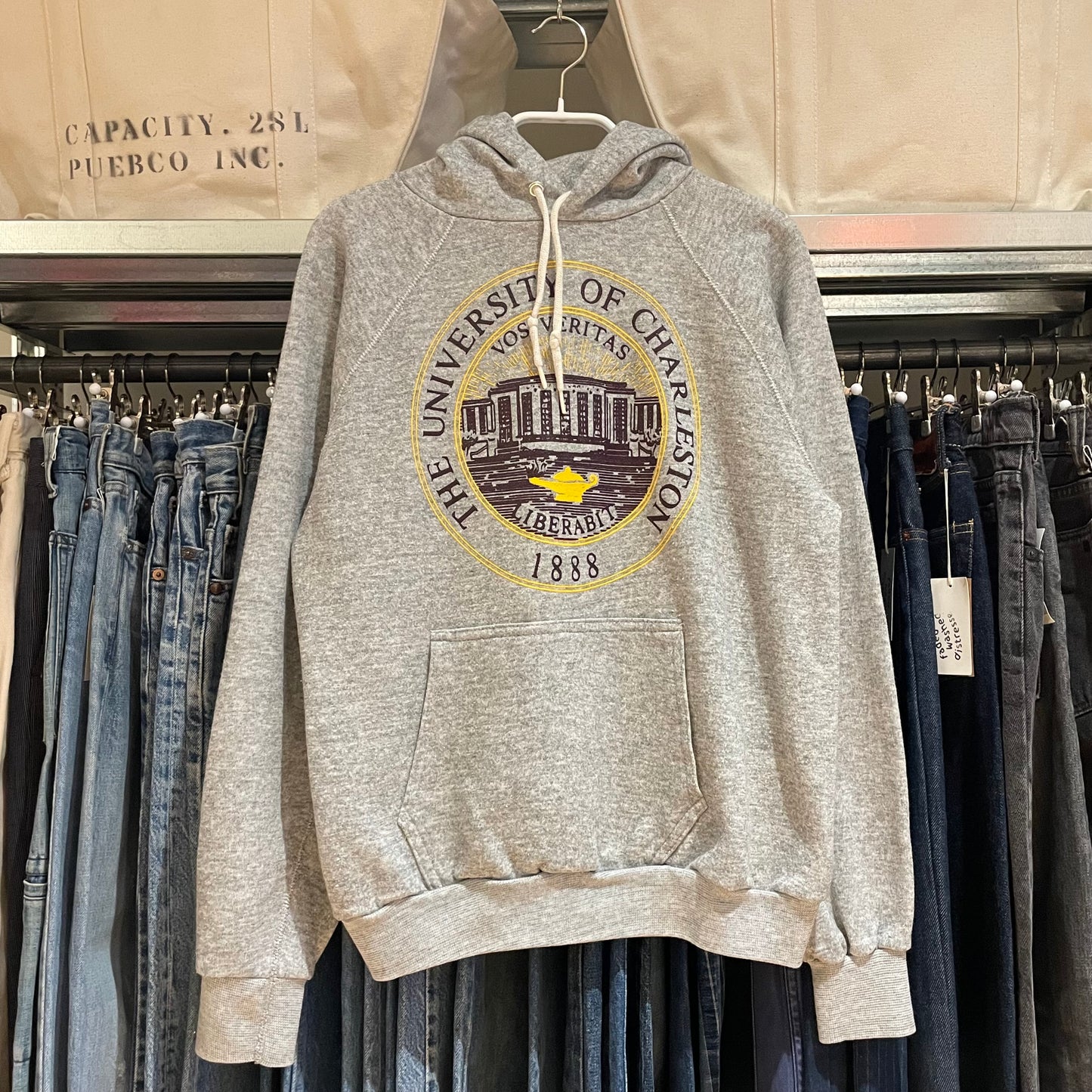 University of Charleston Raglan Hoodie Gray