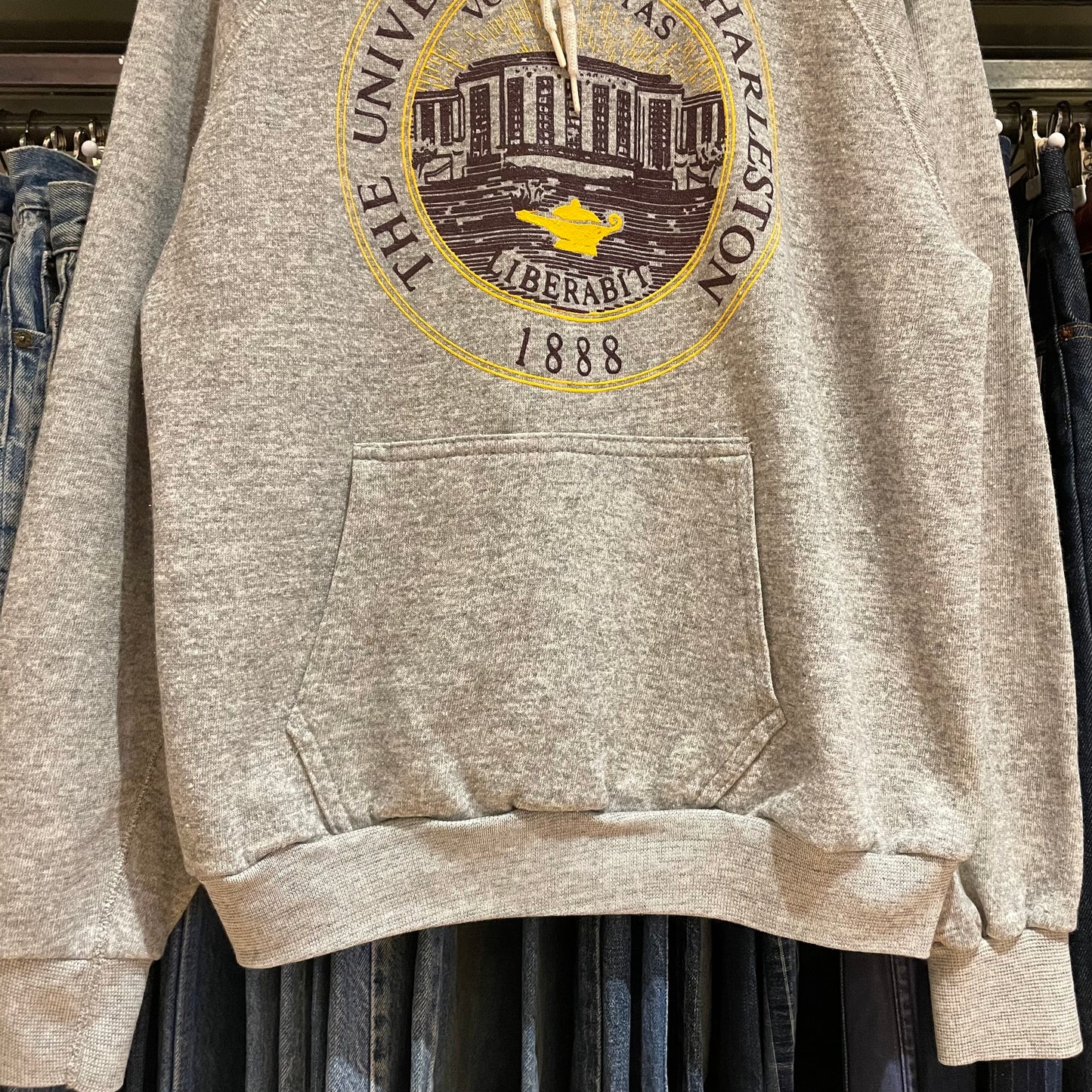 University of Charleston Raglan Hoodie Gray