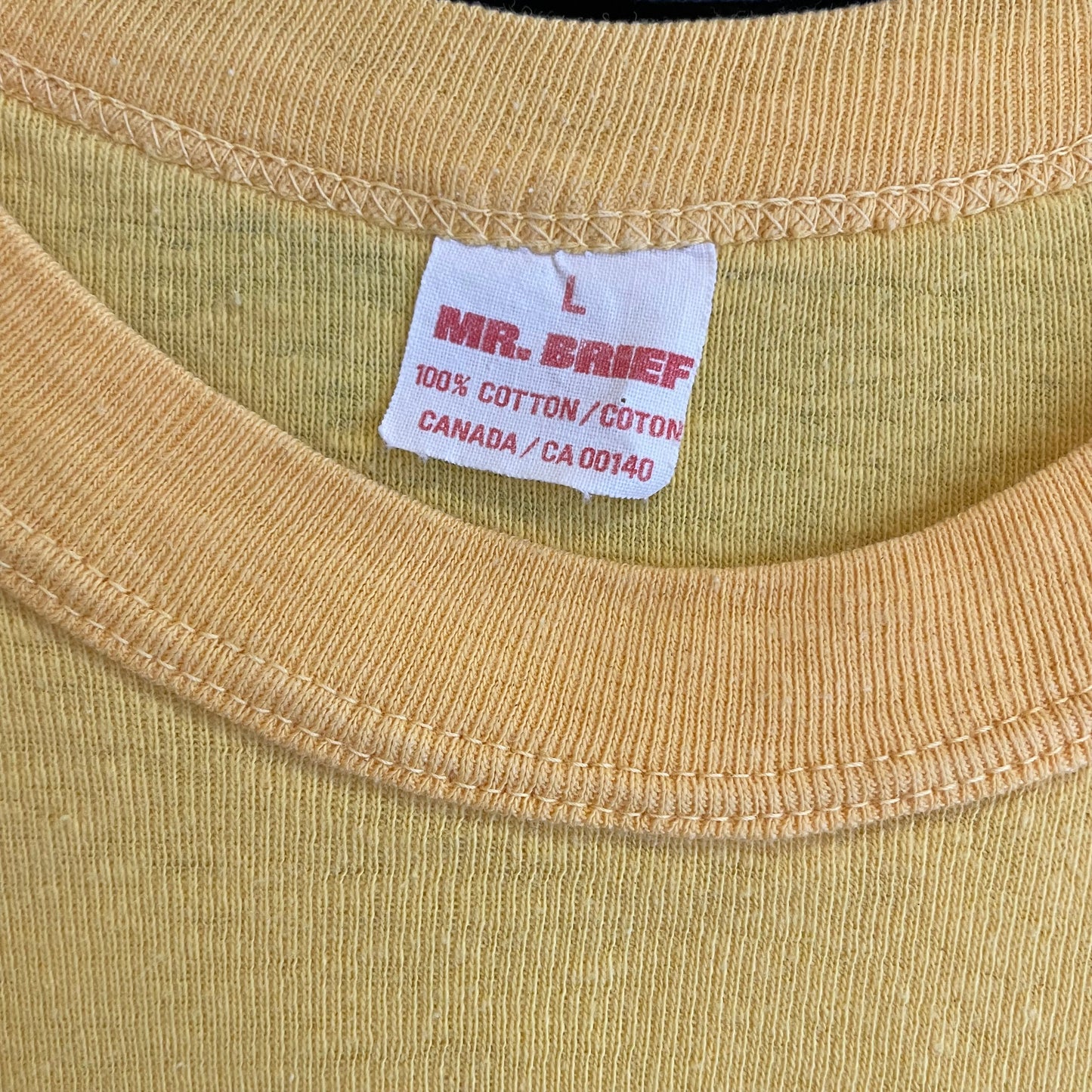Winnipeg Centennial Canoe Shirt