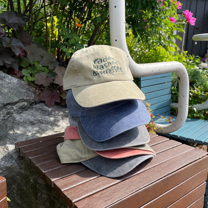 FWD Washed Ball Cap