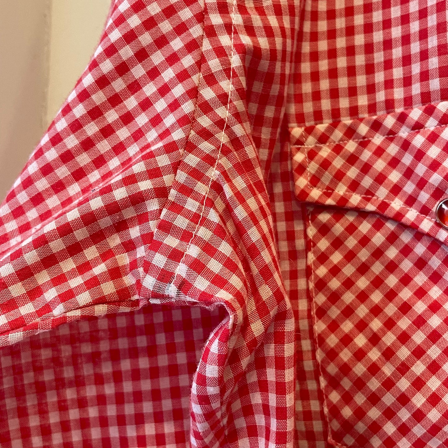 Long Tails Western Shirt Red Gingham