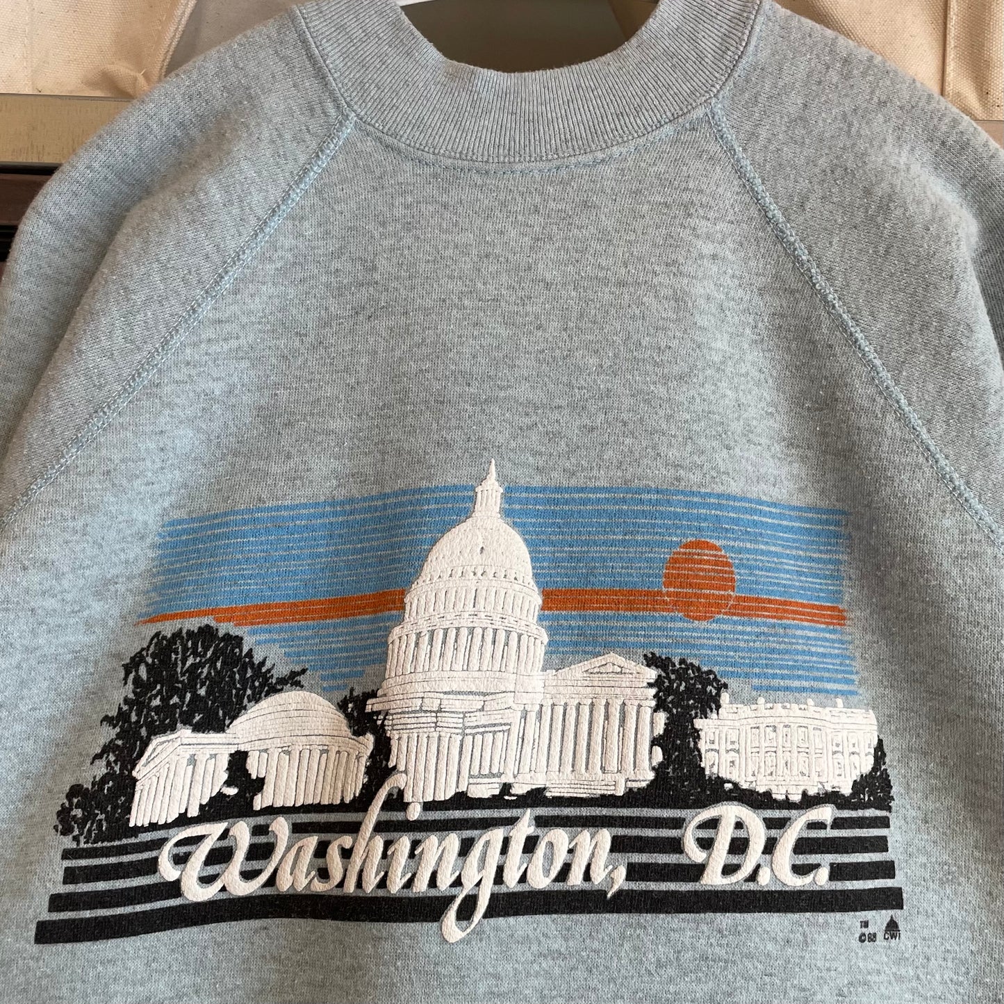 Washington D.C. Capital Sweatshirt Gray