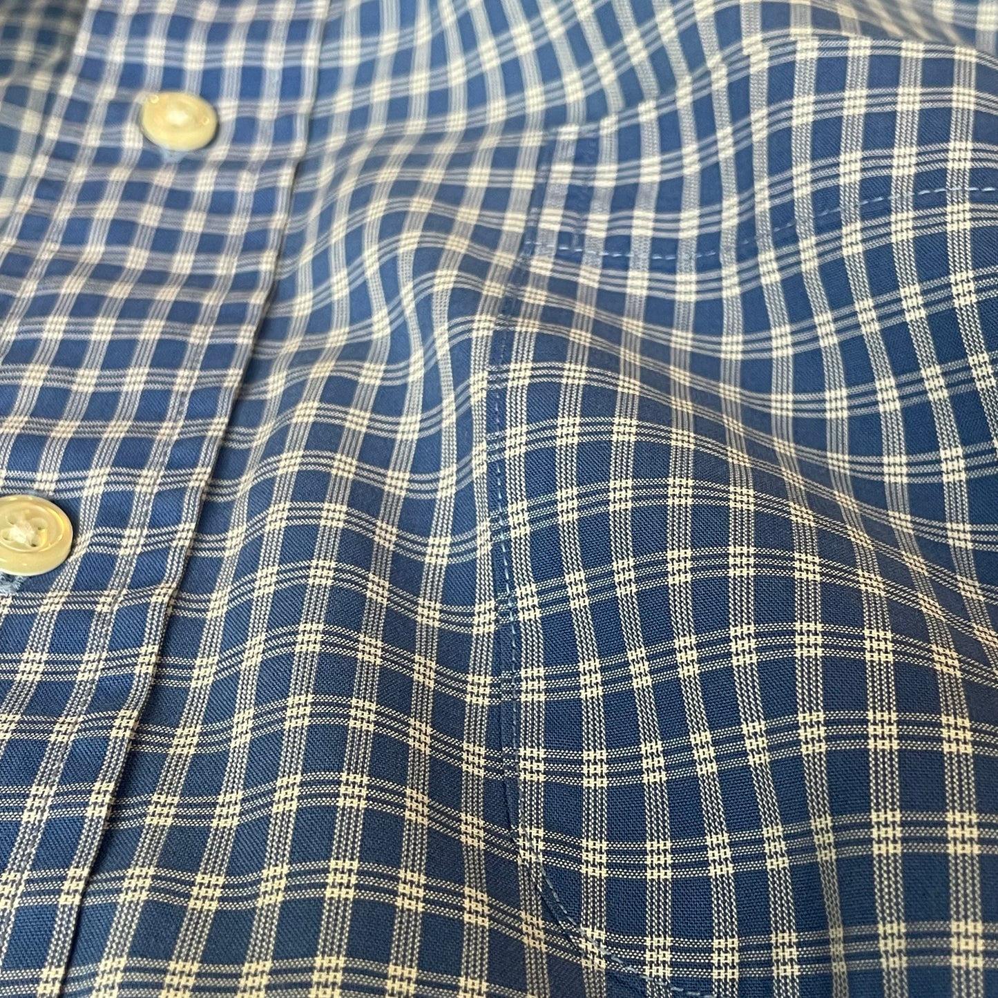 Button-Down Gingham Shirt Blue