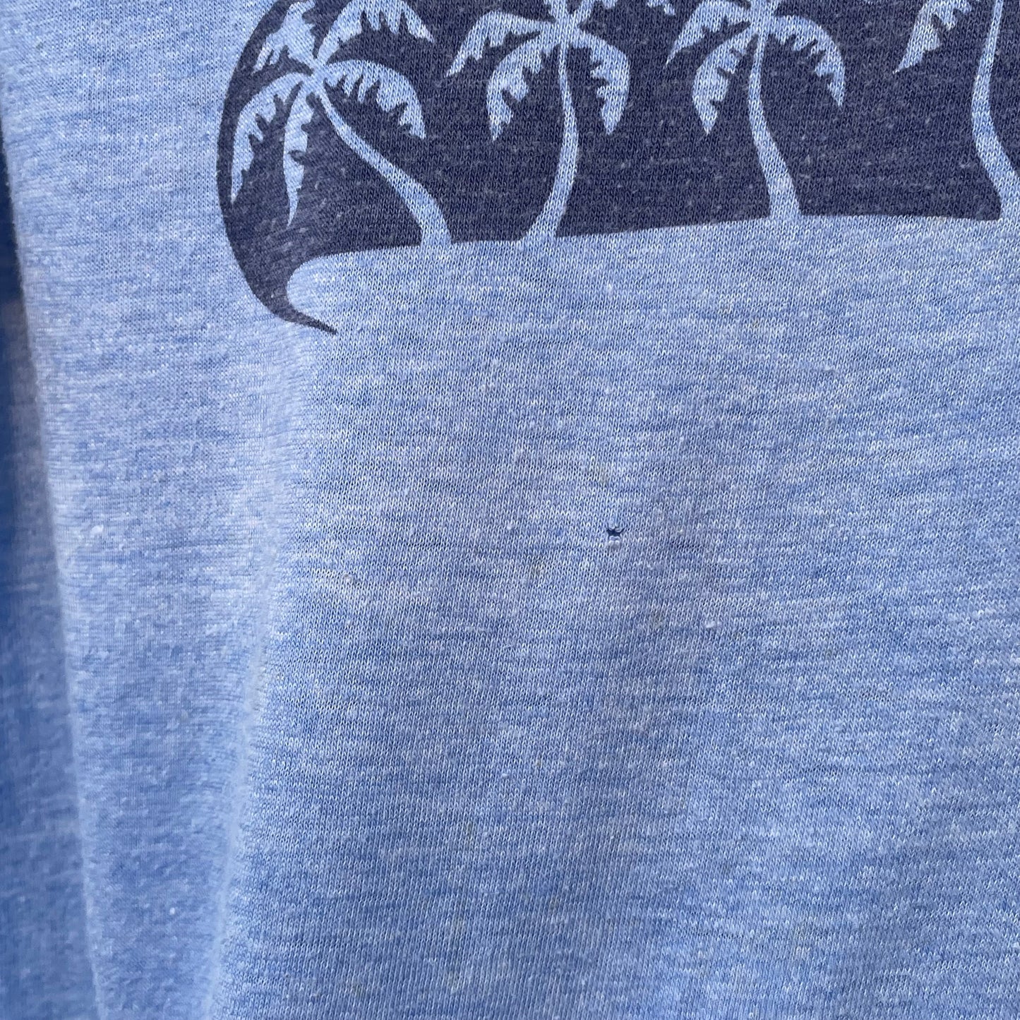 Ft. Lauderdale Florida Palm Sunset Souvenir Ringer Tee