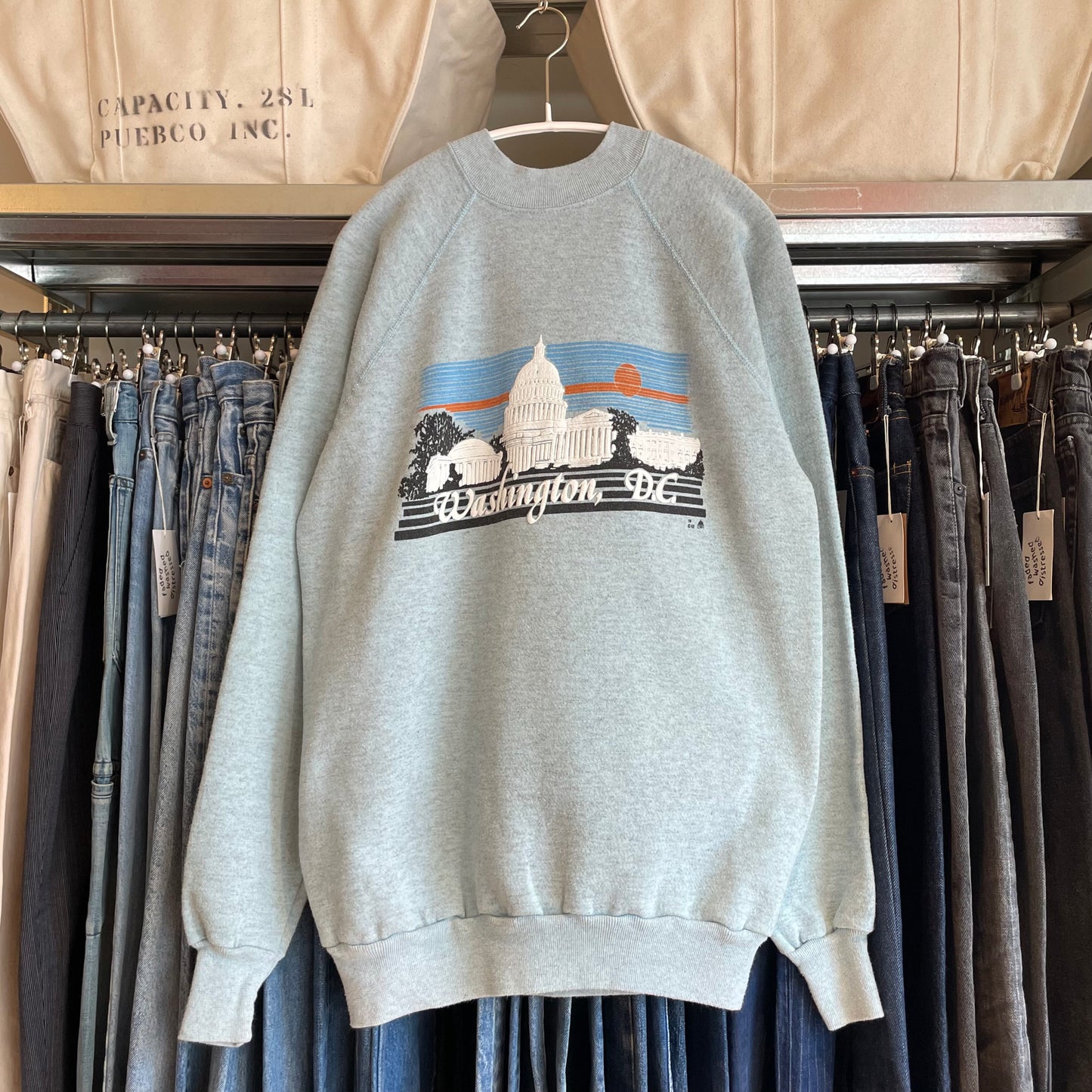Washington D.C. Capital Sweatshirt Gray