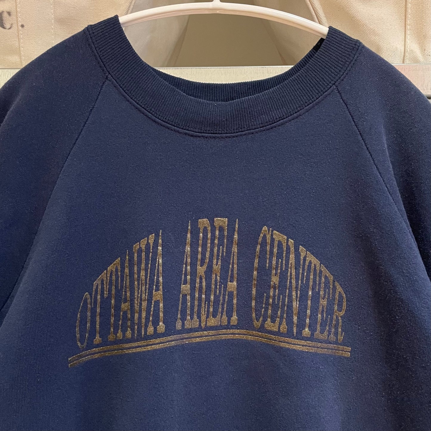 Ottawa Area Centre Blue Faded Crewneck
