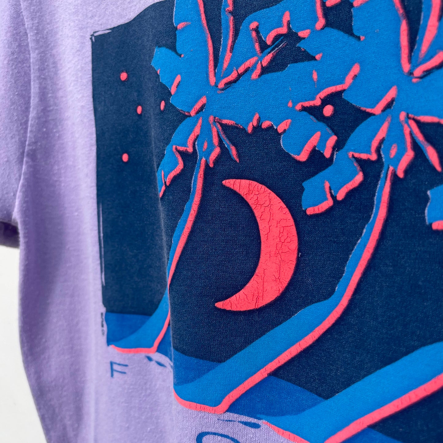 Florida Palm Sunset Souvenir Tee